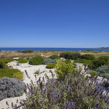 Seafront Melissa * Protaras